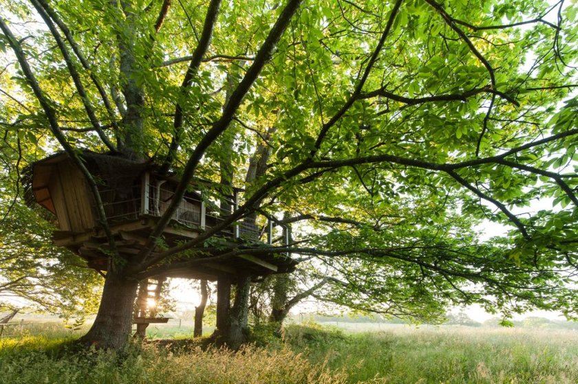 Dormir dans une cabane dans les arbres - Week end nature en Bretagne