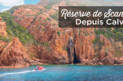 visiter reserve de Scandola au départ de Calvi