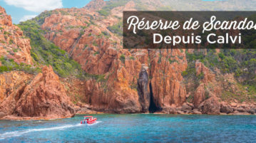 visiter reserve de Scandola au départ de Calvi