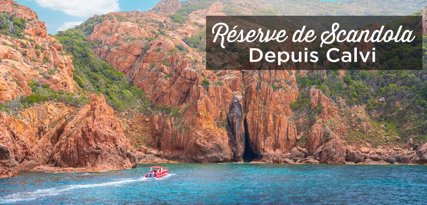 visiter reserve de Scandola au départ de Calvi