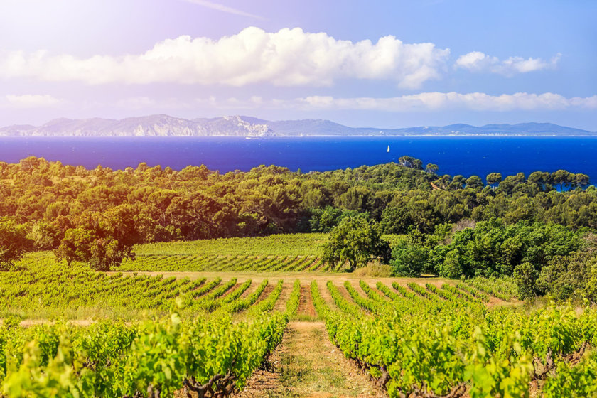 excursion cotes de Provence-vin