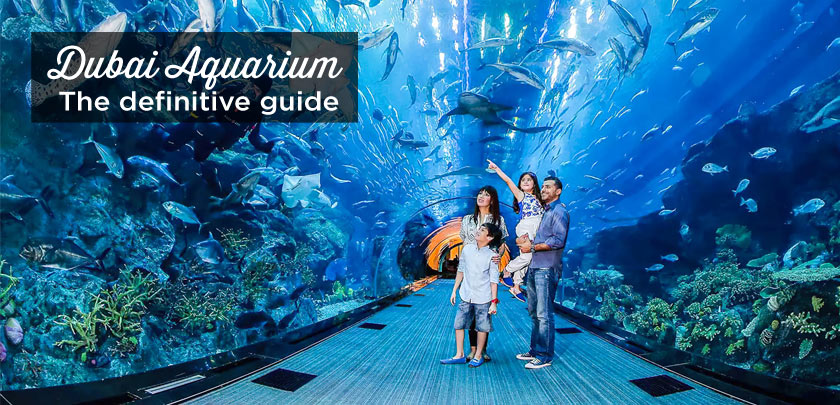 Dubai Aquarium and Underwater Zoo, Guide + Tips