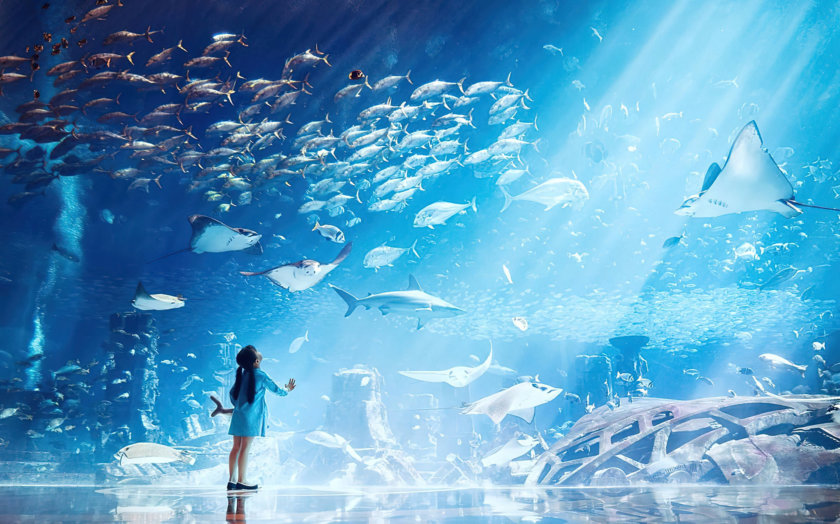 Lost Chambers Aquarium Dubai