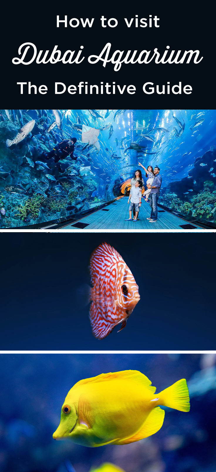 Visit Dubai Aquarium