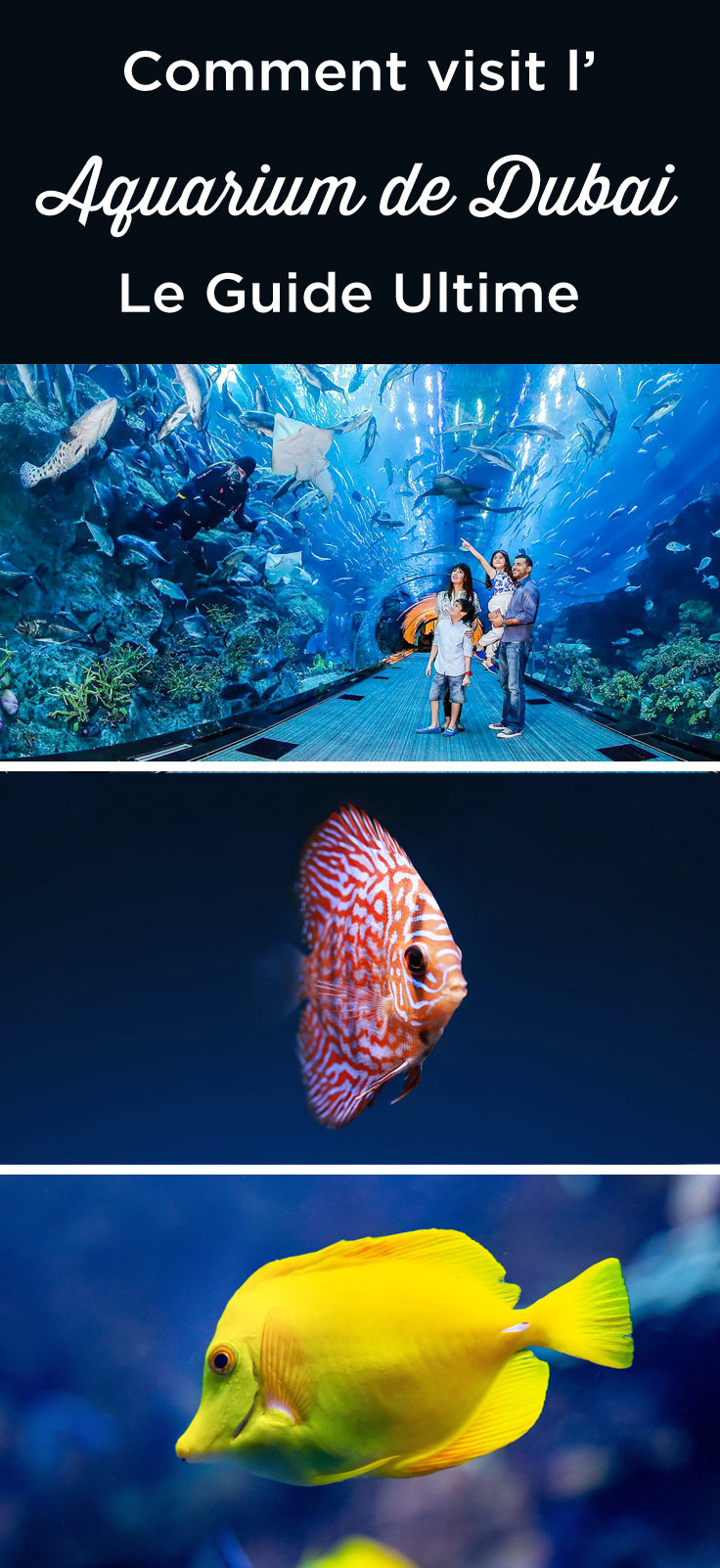 Visiter Dubai Aquarium
