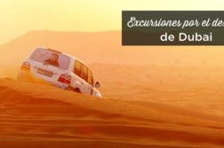 excursion desierto Dubai