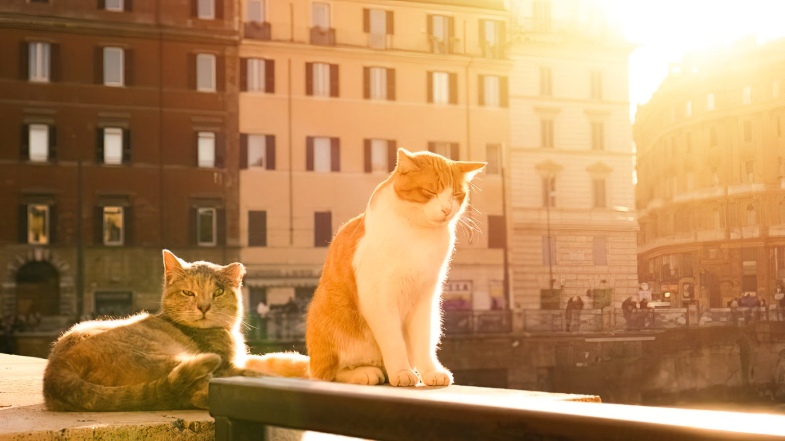17 Epic Hidden Gems in Rome | Lesser-Known Places | 2025