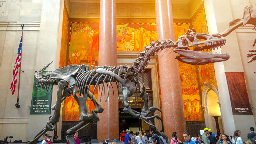 American Museum of Natural History