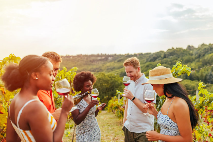 Excursion vin Saint Emilion