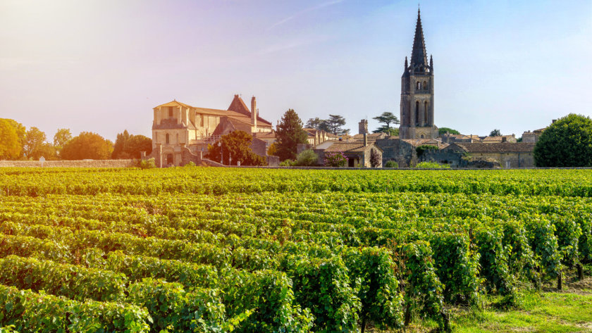 Vignoble Saint Emilion