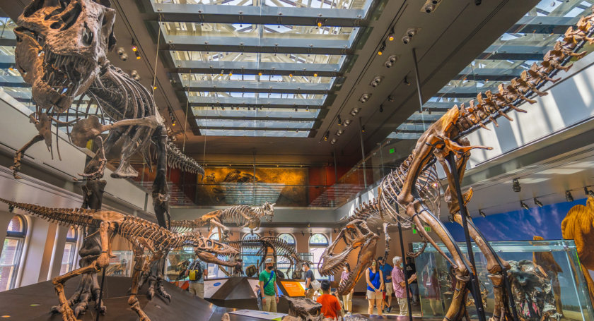 Musée d'Histoire Naturelle de Los Angeles